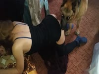 my wife love dog porn